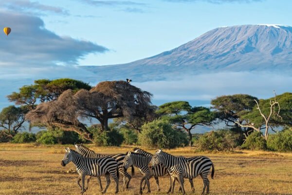 Kenya 04 Nights / 05 Days Package