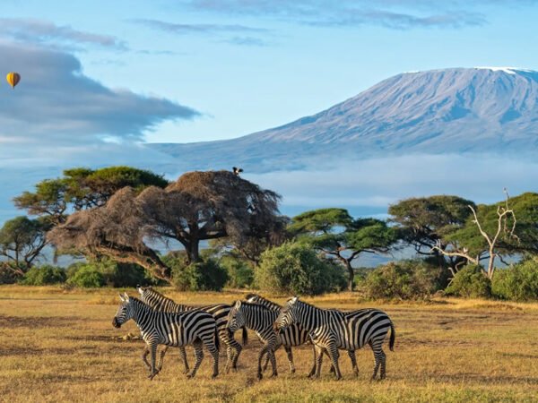 Kenya 04 Nights / 05 Days Package
